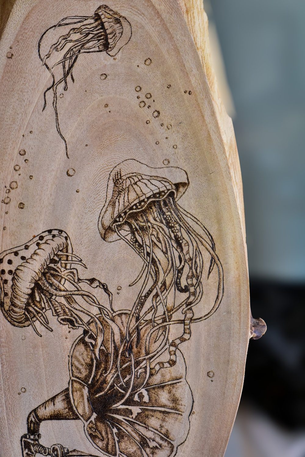 Submerged Song — detail of jellyfish and gramophone